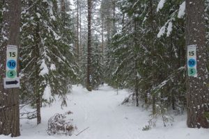 Бесплатные электрички для лыжников планируют запустить 17 января. Эту дату еще могут скорректировать из-за коронавируса